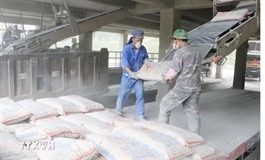 Việt Nam plans tax incentives to boost mineral processing industry