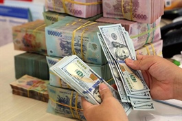 Tuần 08-12/06: Đồng USD tăng giá, tỷ giá tự do tiếp đà hạ nhiệt