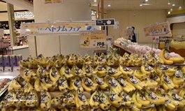 Vietnamese products promoted at AEON stores across Japan