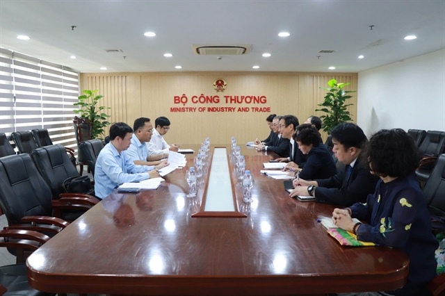 Việt Nam, Japan cultivate energy collaboration