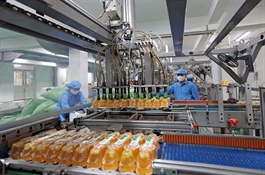 Further reforms needed to unlock private sector's growth potential