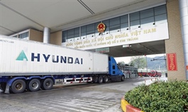 Over 16,000 tonnes of fresh lychees exported to China through Kim Thành border gate