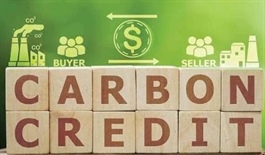 Vietnam lays groundwork for carbon market development
