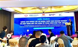 Workshop discusses support for businesses through better use of RCEP