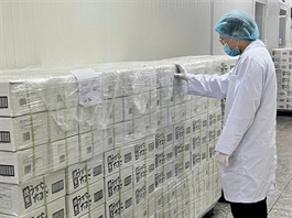 Vietnamese eggs enter Japanese market