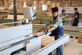 Wood exports maintain growth momentum as firms eye Middle East rebound