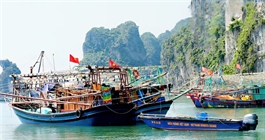 Quảng Ninh adjusts GRDP growth targets for each quarter