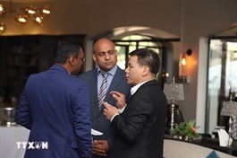 Vietnam Chemicals Group steps up trade promotion in South Africa