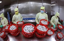Cà Mau Province exports surpass $1 billion in five months