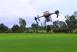 Việt Nam shifts to value-driven farming in push to reach $100 billion in exports