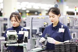 FDI drives nearly half of formal jobs for women in Vietnam, OECD says