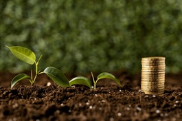 Sustainability standards drive shift in Vietnam's green economy