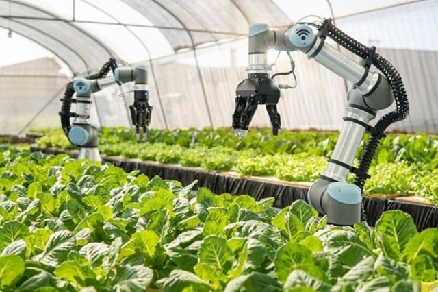 Ho Chi Minh City to establish seven high-tech agricultural zones