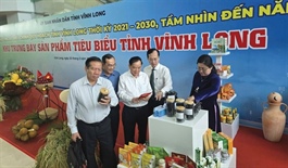 Vinh Long strives to become major clean energy hub