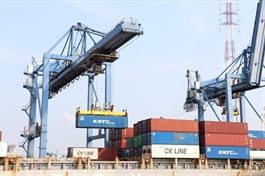 Logistics emerges as new growth engine for Việt Nam’s marine economy