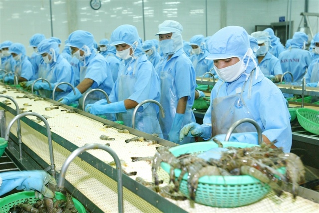 P12 + 13 bài Bức tranh xuất khẩu thủy sản 2021 – chế biến và xuất khẩu thủy sản