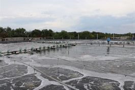 Vĩnh Long Province expands high-tech shrimp farming