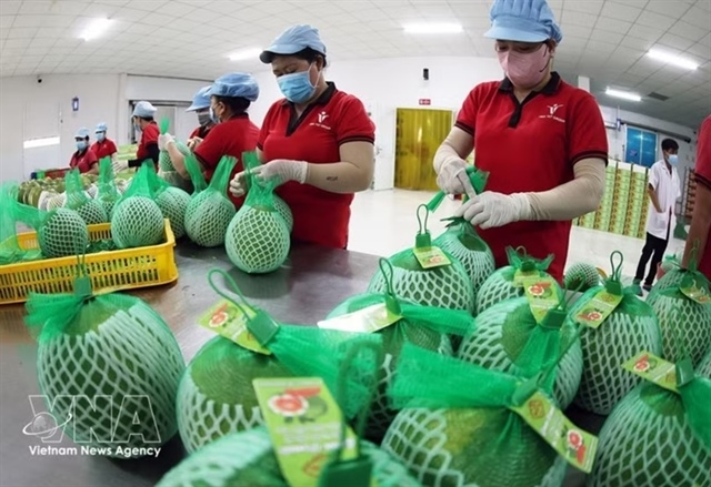 Việt Nam's fruit, vegetable exports up nearly 18% in H1