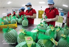 Việt Nam's fruit, vegetable exports up nearly 18% in H1