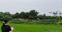 Bỏ phố về quê, cô gái dùng drone làm nông giúp hơn 300 hộ dân đổi đời