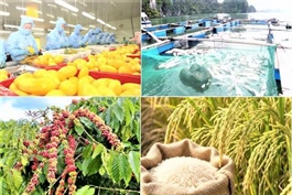 Đẩy mạnh cải cách để xuất khẩu nông lâm thủy sản đạt 74 tỷ USD