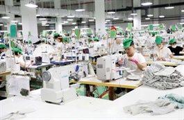 H1 GDP expands 8.18 per cent on robust manufacturing, exports