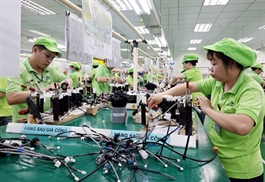 Việt Nam sees sharp rise in new firms in H1