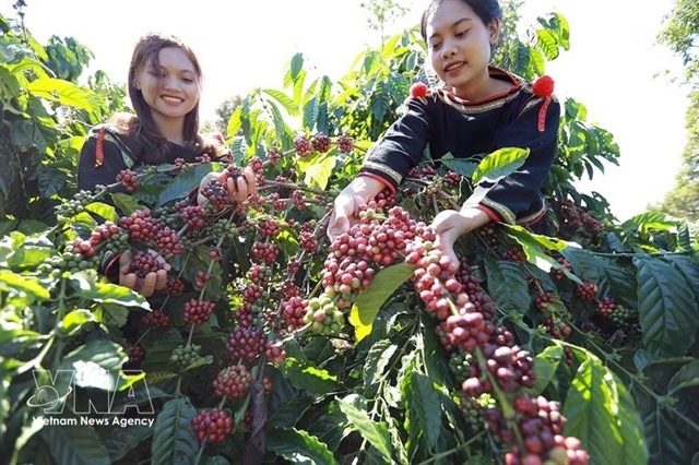Agro-forestry-fishery exports rise 6% in first half of 2026