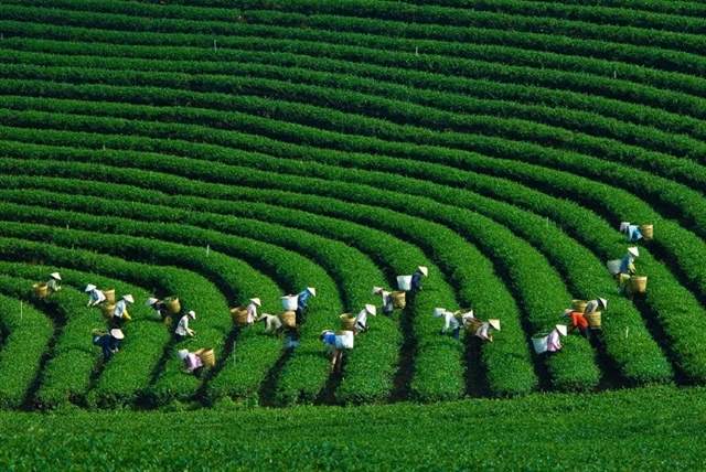 Green Climate Fund to finance $50 million for Mekong Earth Regeneration Fund