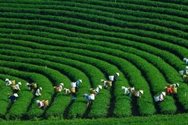 Green Climate Fund to finance $50 million for Mekong Earth Regeneration Fund