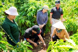 Regenerative farming helps Vietnamese coffee overcome 'green barriers': seminar