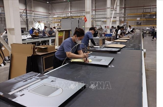 Việt Nam's H1 foreign investment inflows jump 61%, led by Asian investors