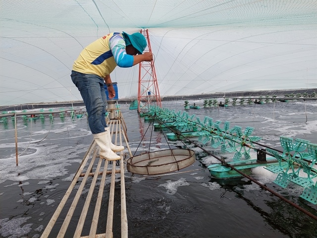 Vĩnh Long's industry, services drive economic growth in first half
