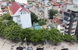 Chủ bia Việt Hà lên kế hoạch mới cho khu "đất vàng" Hà Nội sau khi dự án nhà ở bị "khai tử"