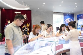 PNJ chairwoman says 28,000 smuggled diamonds never entered company's retail system
