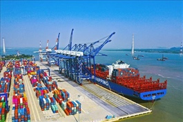 Import reduction needed to allow exports to contribute to economic growth
