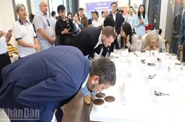Việt Nam's specialty coffee sets sights on Chinese market