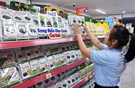 South Korea picks Việt Nam as ASEAN hub for K-Food supply chain expansion