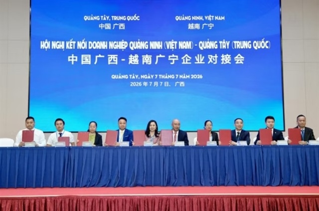 Vietnamese, Chinese firms deepen cooperation across multiple sectors