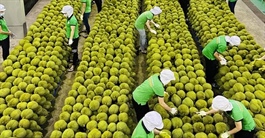 Đề xuất lập tổ điều hành cấp Chính phủ cho mục tiêu 100 tỷ USD