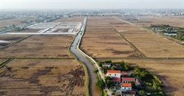 Đề xuất nâng mức đặt cọc đấu giá tối thiểu lên 20%: Kỳ vọng chặn 'cò' thổi giá đất