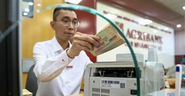 Ngân hàng đấu giá loạt đất tại TPHCM, giá khởi điểm hơn 100 tỷ đồng