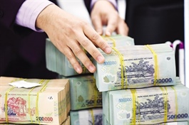 SBV credit policy shift puts banks and developers in spotlight