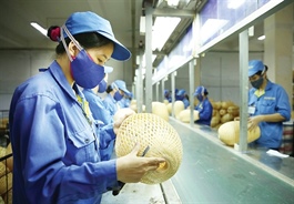 SMEs move from digital awareness to implementation as trust becomes key