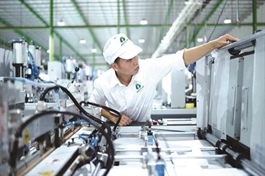 AAA sắp trả hơn 118 tỷ đồng cổ tức