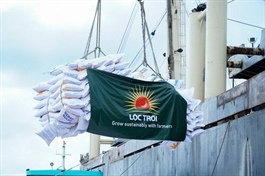 Cổ phiếu LTG bị đưa trở lại diện cảnh báo sau hơn 1 tháng