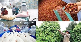 Xuất khẩu nông lâm thủy sản từ 70 đến 100 tỷ USD: Cần những bước đột phá mới