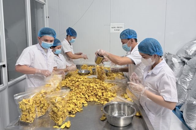 Firms remain key driver of Việt Nam's economic growth: 2026 economic census
