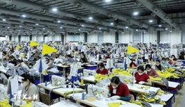 Chỉ số niềm tin kinh doanh của doanh nghiệp châu Âu vào Việt Nam tăng mạnh