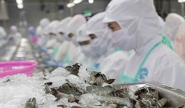 China imports $1.4 billion of Vietnamese seafood in first half of 2026